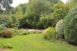 What are Tree Preservation Orders?