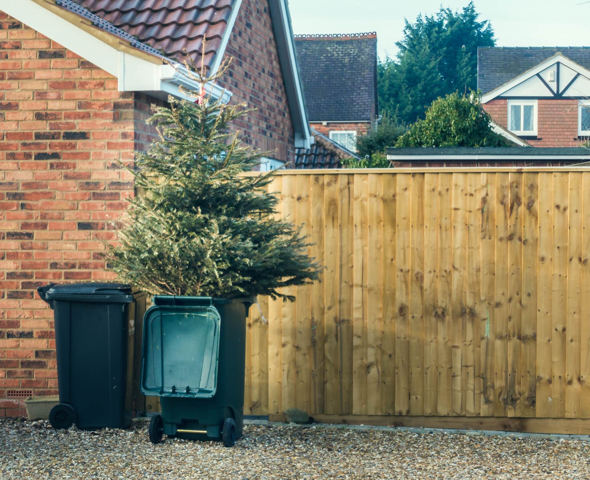 Can I Recycle My Real Christmas Tree?