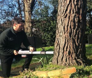 Resistograph being used to determine tree decay - Artemis Tree Services