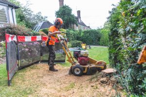 A stump grinder being used by Artemis Tree Services to remove a tree stump