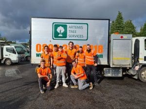 The Magnificent Eight – Artemis Apprentices Move To Level 2