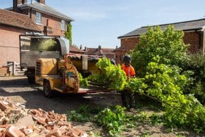 Hiring a Tree Surgeon in North London