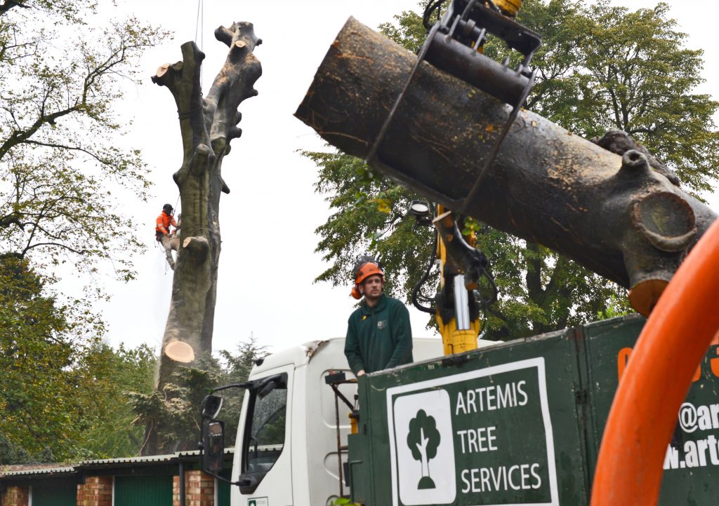 Artemis Tree Services using a large crane to remove tree branches