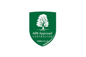 For Complete Peace of Mind, Use an Arb Approved Contractor for Your Tree Work