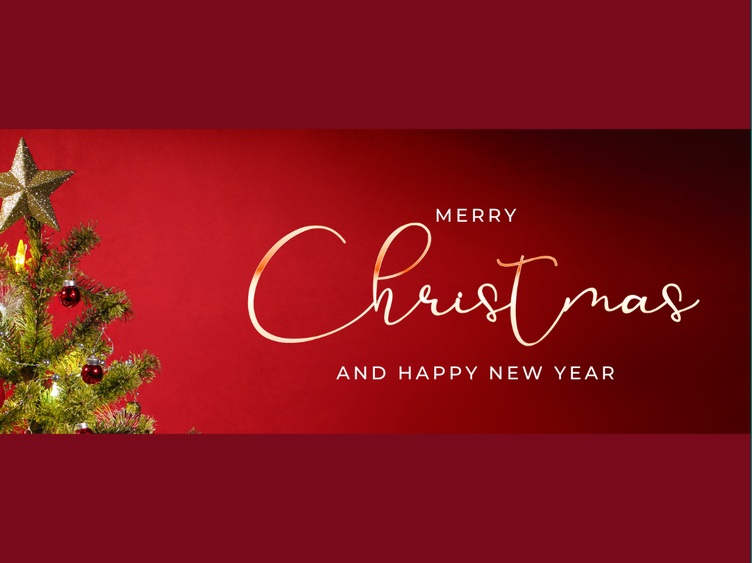 We Wish You a Merry Christmas