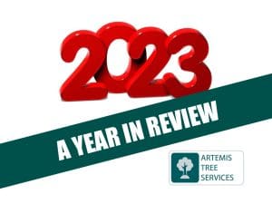 REFLECTIONS ON 2023: A YEAR IN REVIEW