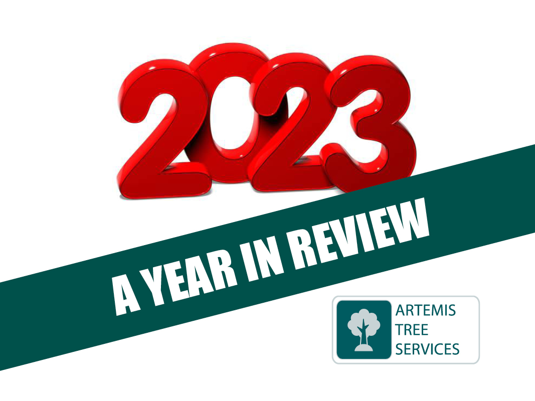 REFLECTIONS ON 2023: A YEAR IN REVIEW