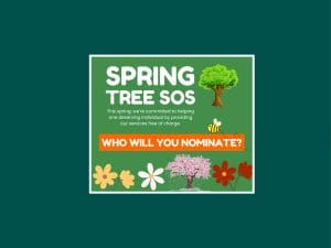Spring Tree SOS