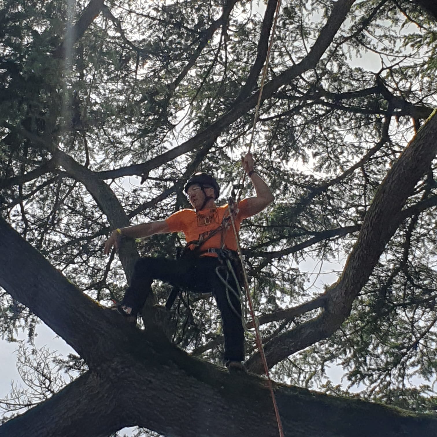 Well Done Marcin!  Our Climbing King!