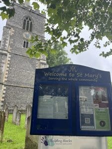 Teddy Bear Tree Rescue: Artemis Saves the Day