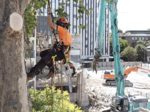 Demolition Hub feature our Article