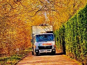 The Magic of Autumn: Why Leaves Change Colour and Fall