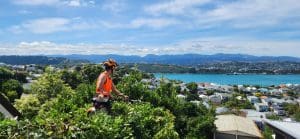 Ben – The Explorer Returns to Artemis