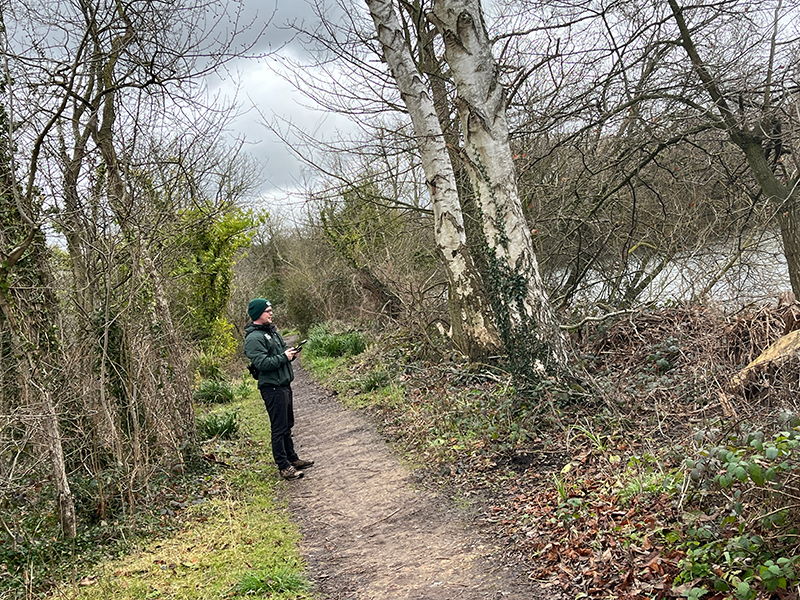Golf Club Tree Survey for only £100 + VAT!