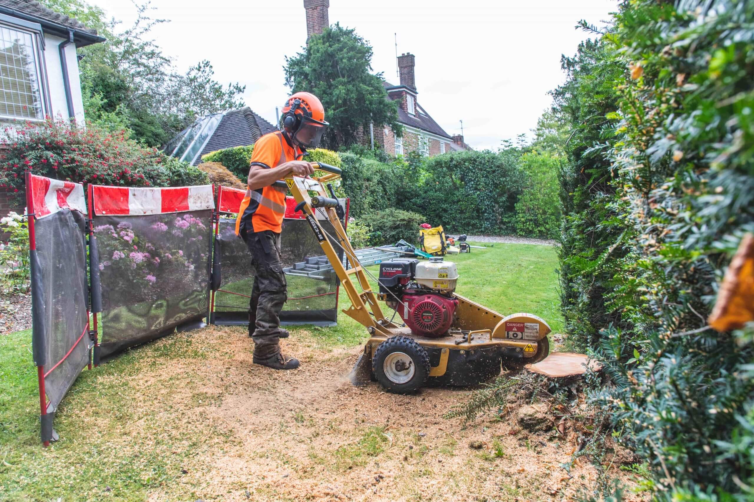 Stump Removal & Grinding