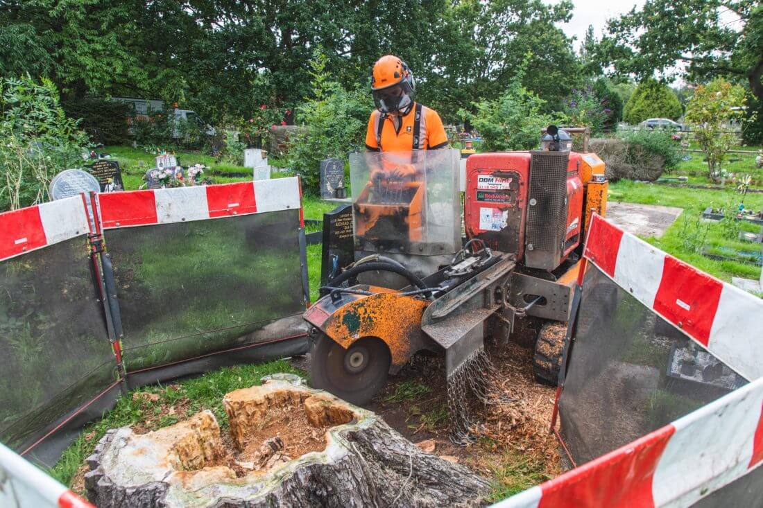 Cemetery Stump Grinding
