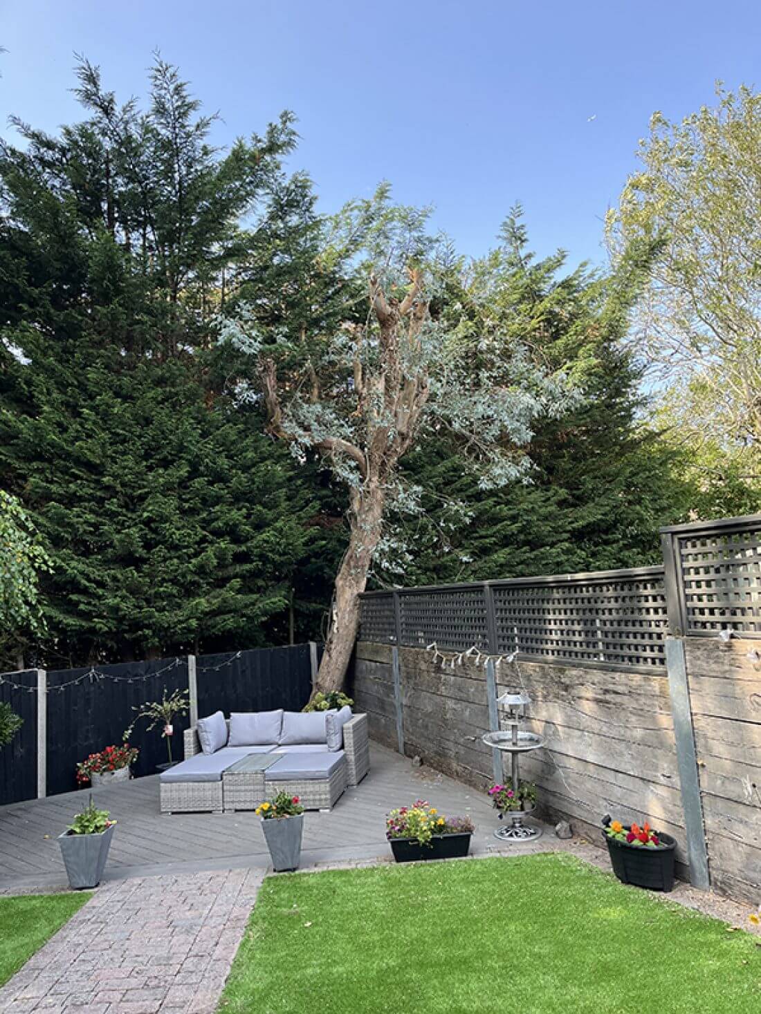 Crown Reduction on a Beautiful Leaning Eucalyptus Tree