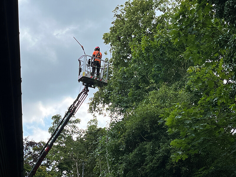 Reducing Overhanging Tree Branches  from a Neighbour’s Garden