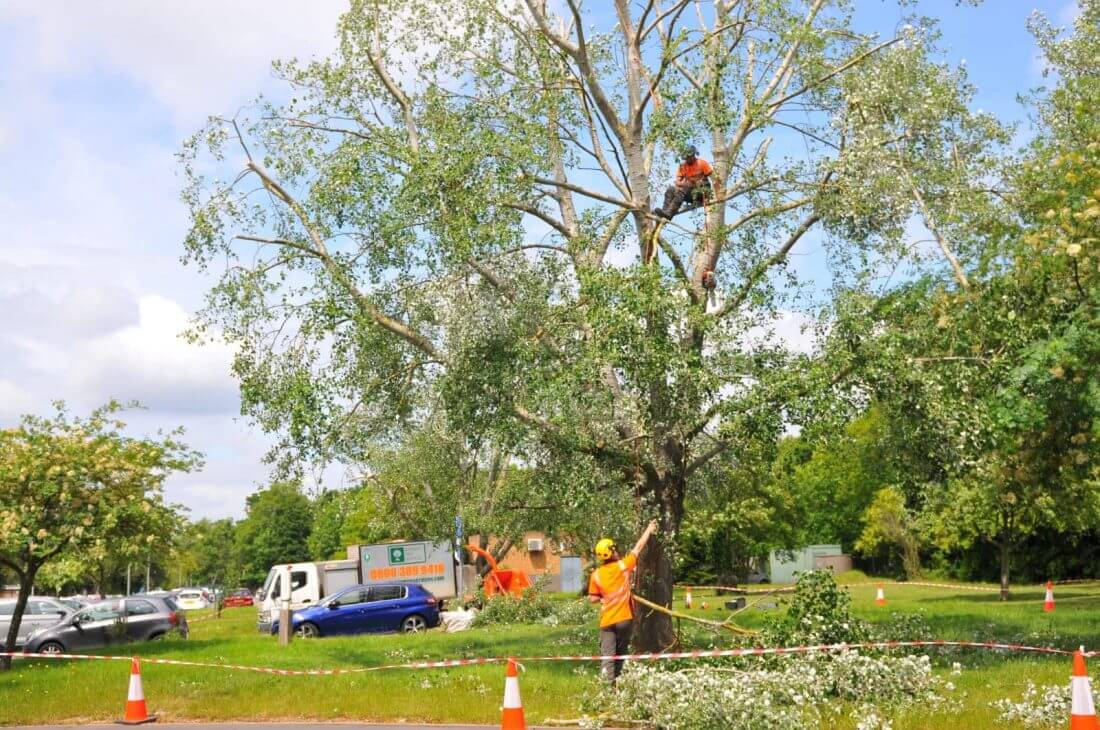 Harefield Hospital Healing Garden