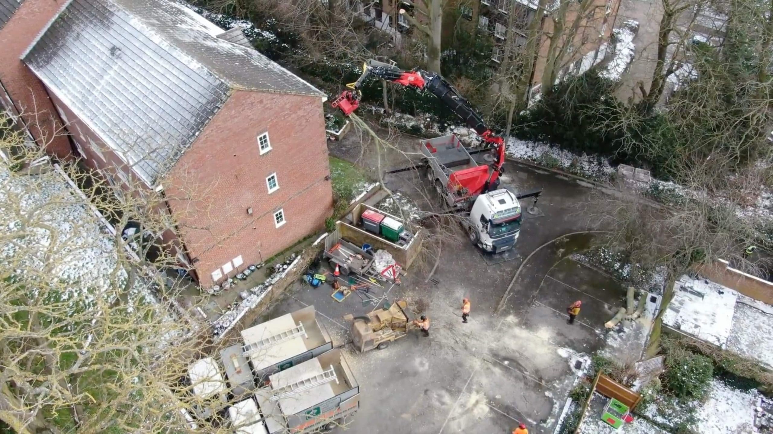 Large Decaying Beech Tree Removal