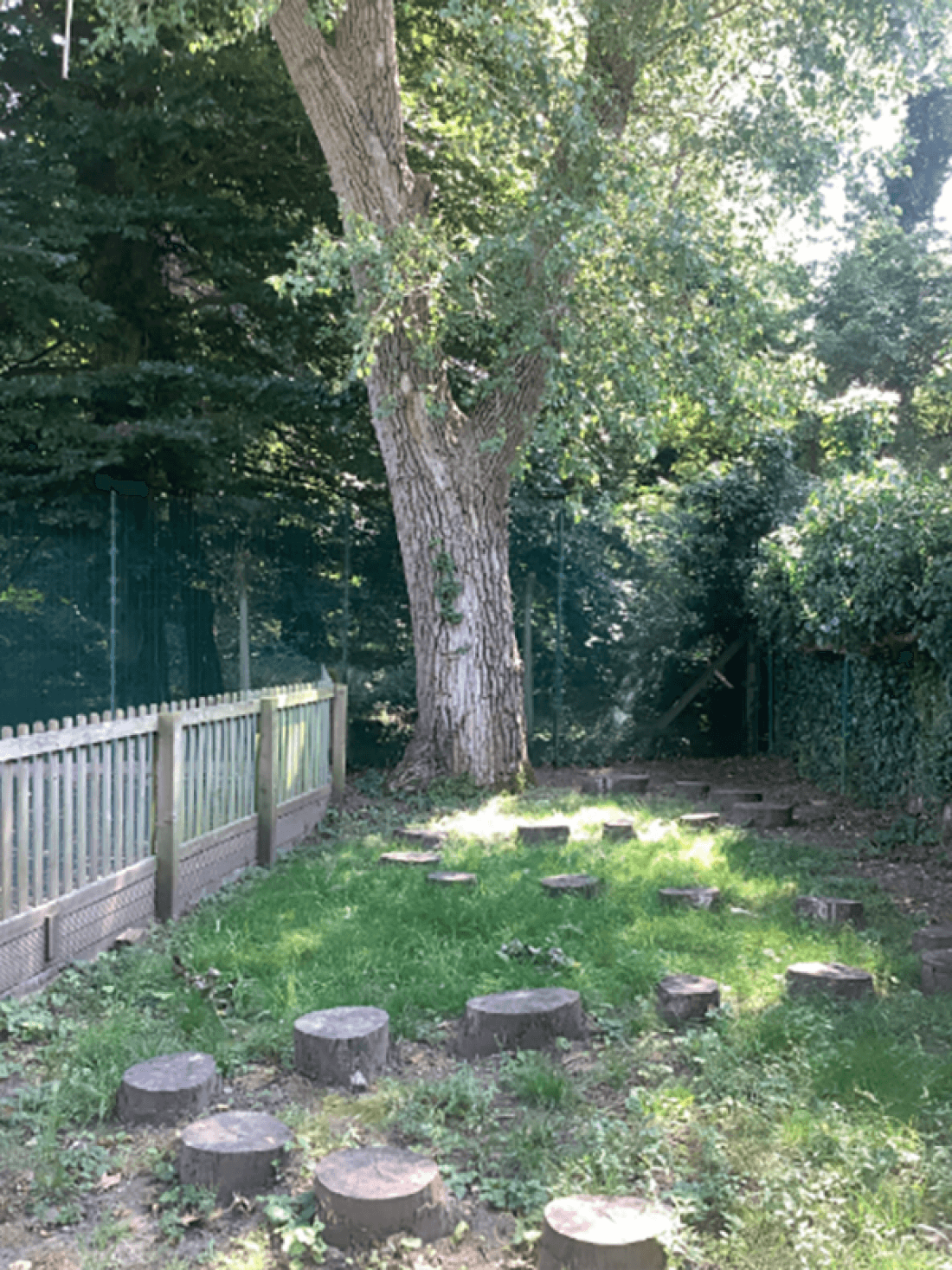 Felling an Unsafe Tree Overhanging a School Playground