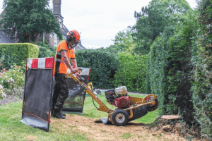 What is Stump Grinding?