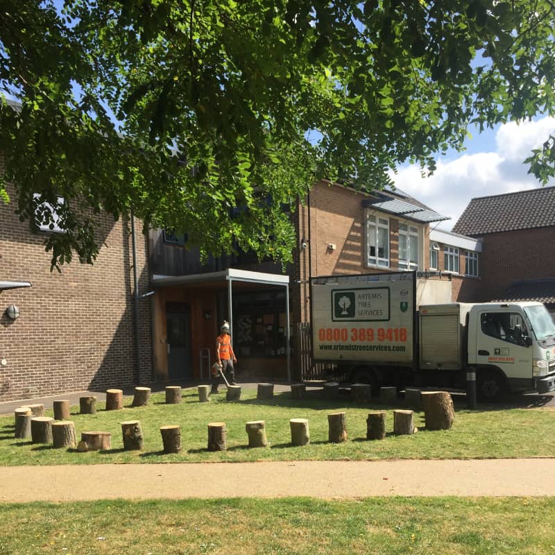 Primary School’s Reading Circle