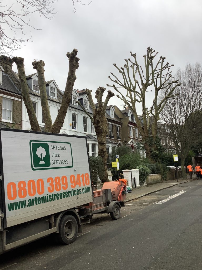 Working With Your Neighbours To Keep On The Right Side Of The Law