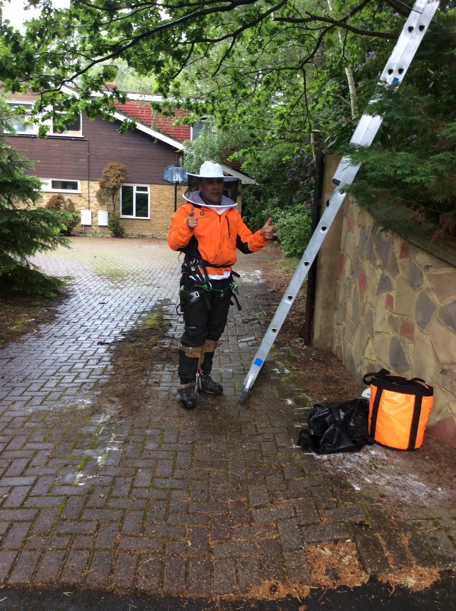 Lightning Damaged Tree Removal