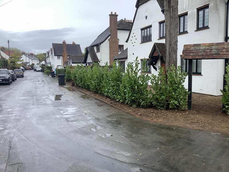 Front Garden Hedge Removal & New Hedgerow Planting